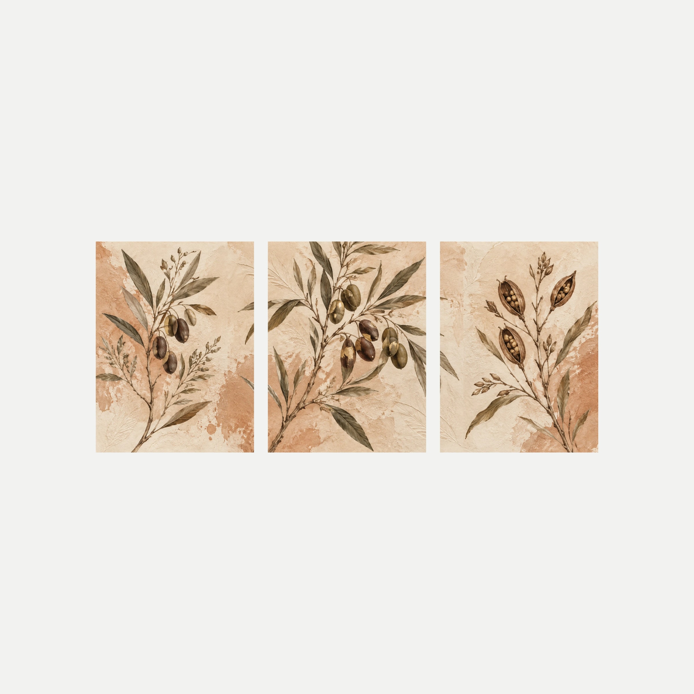 Tres paneles sobre fondo neutro con ramas, olivas, hojas verde grisáceo y vainas de semillas sobre manchas crema y terracota.