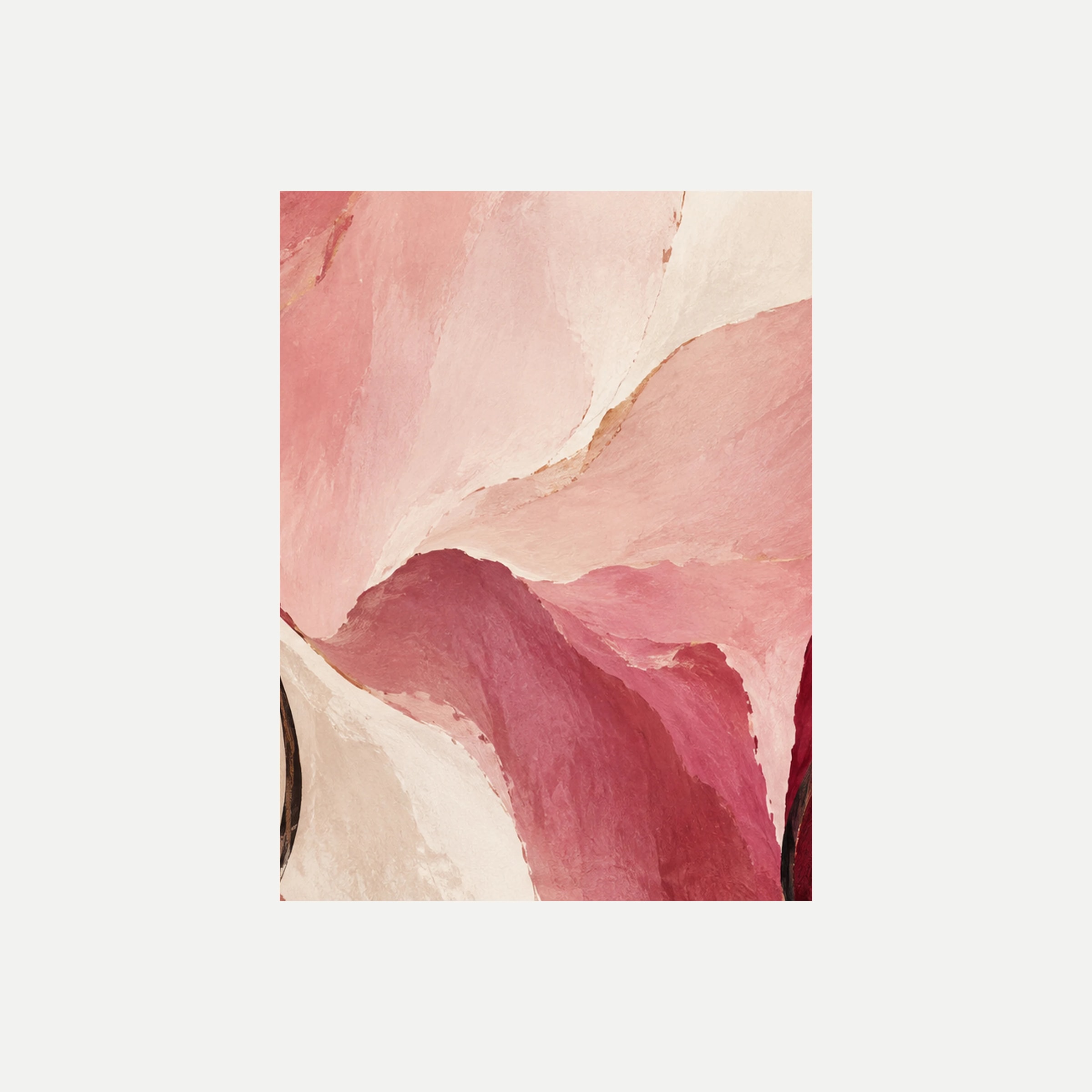 Gallery Rose II: amplios pétalos rosa pálido y crema de bordes irregulares, sin marco, sobre fondo neutro.