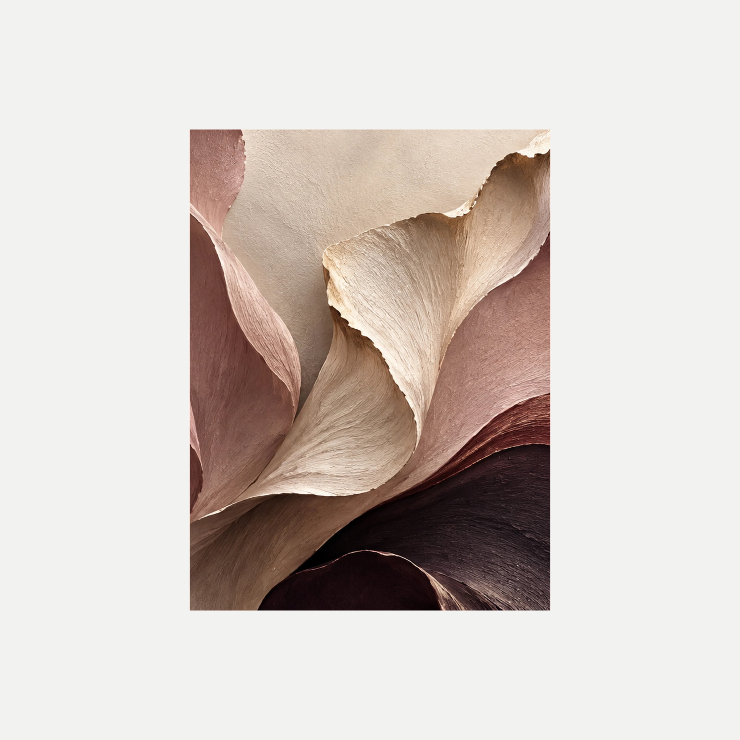 Petal Noir III: un gran pétalo crema plegado sobre superficies rosa y oscuras, sin marco, sobre fondo neutro.