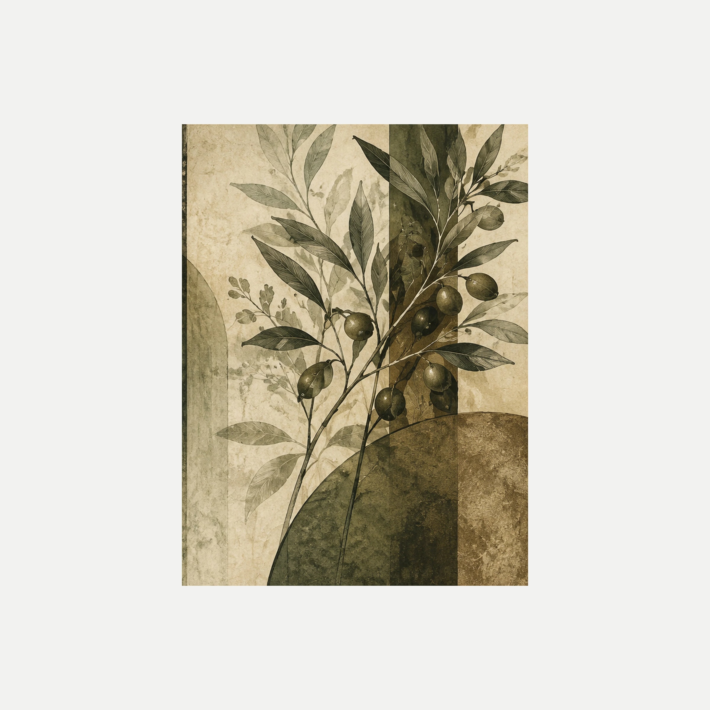 Olive Etching III: una rama de olivo con frutos oscuros y hojas puntiagudas ante una forma verde circular, sin marco, sobre fondo neutro.