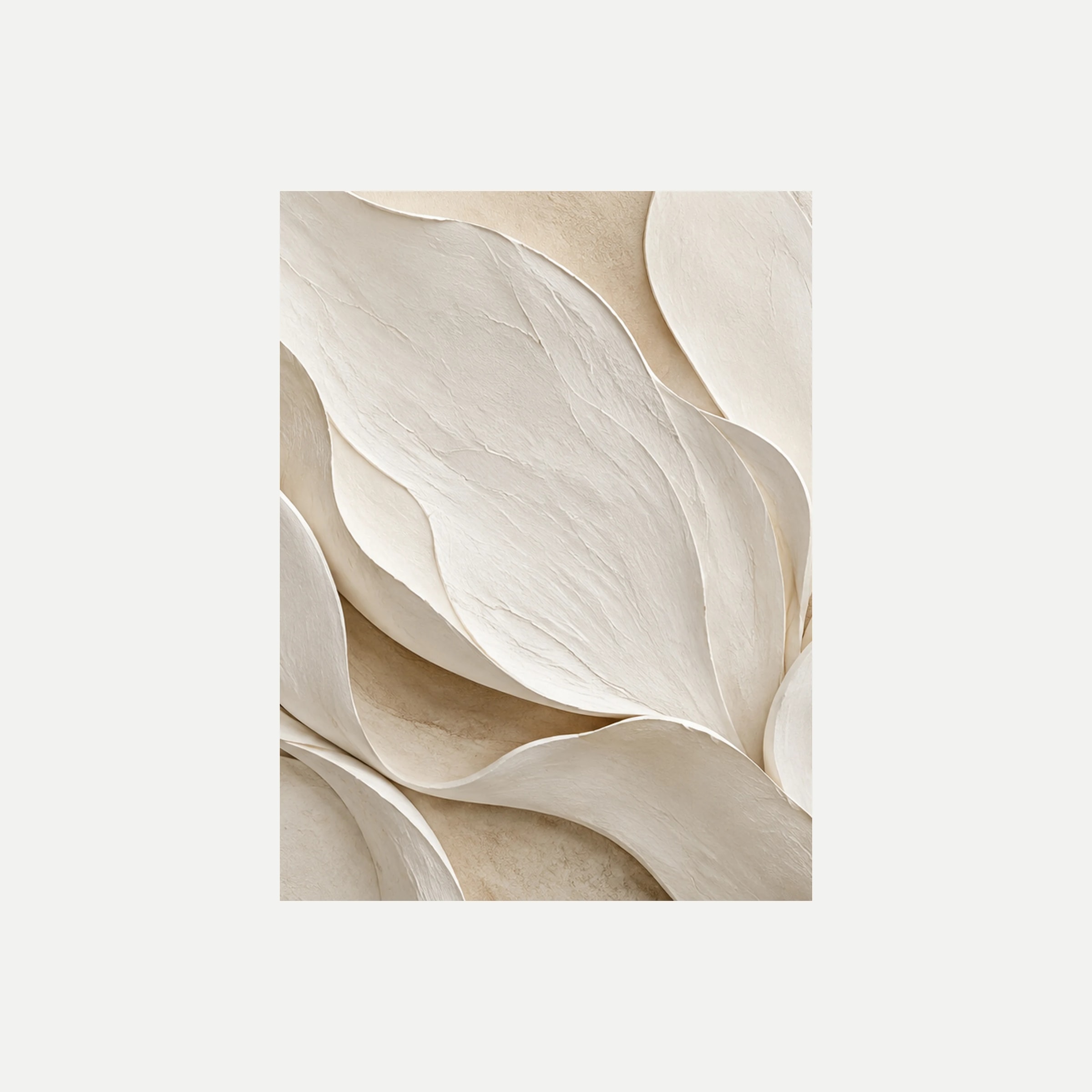Alabaster Bloom II: un gran pétalo crema superpuesto a curvas claras de sombra suave, sin marco, sobre fondo neutro.