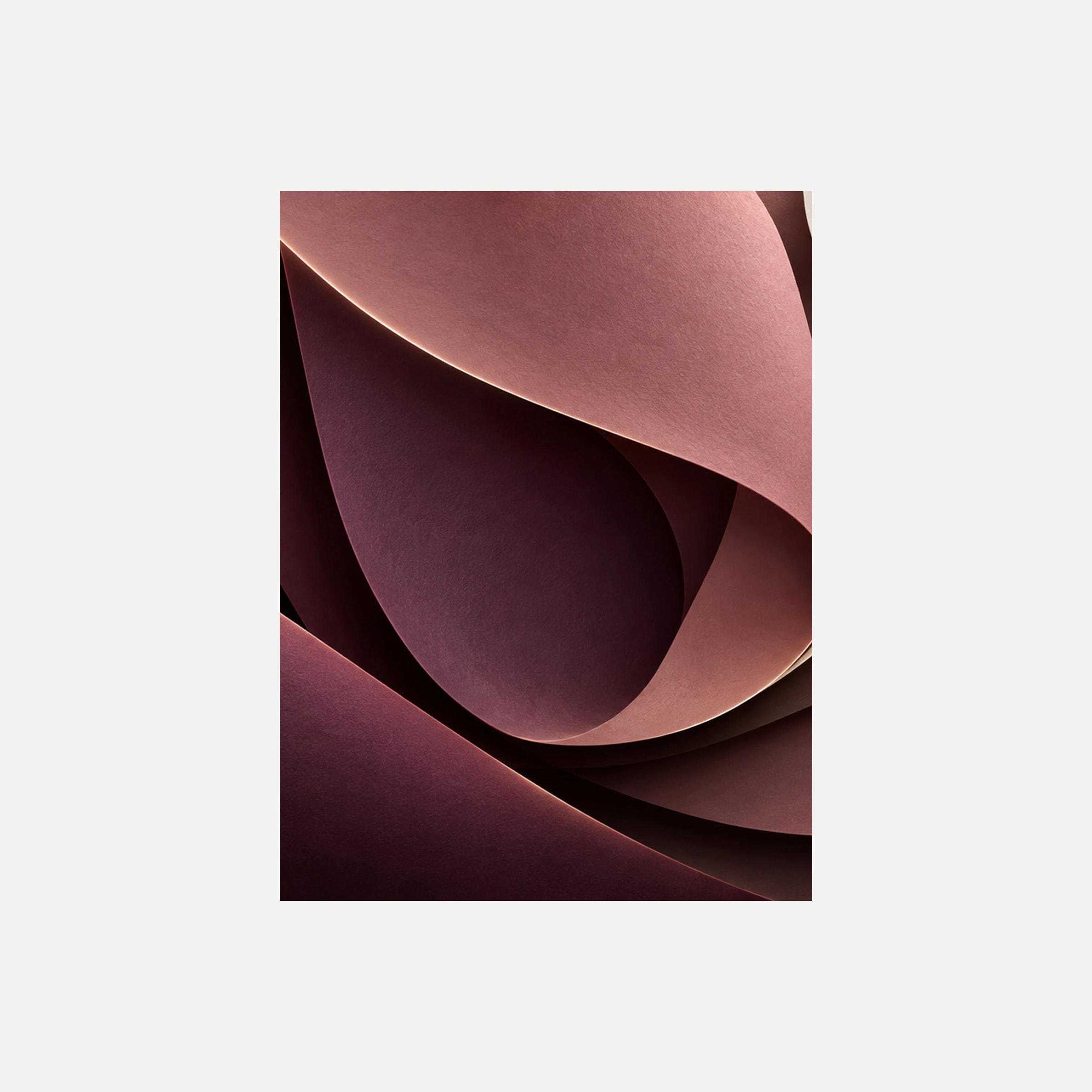 Plum Fold II: una curva rosa apagado que se pliega sobre superficies granate, sin marco, sobre fondo neutro.