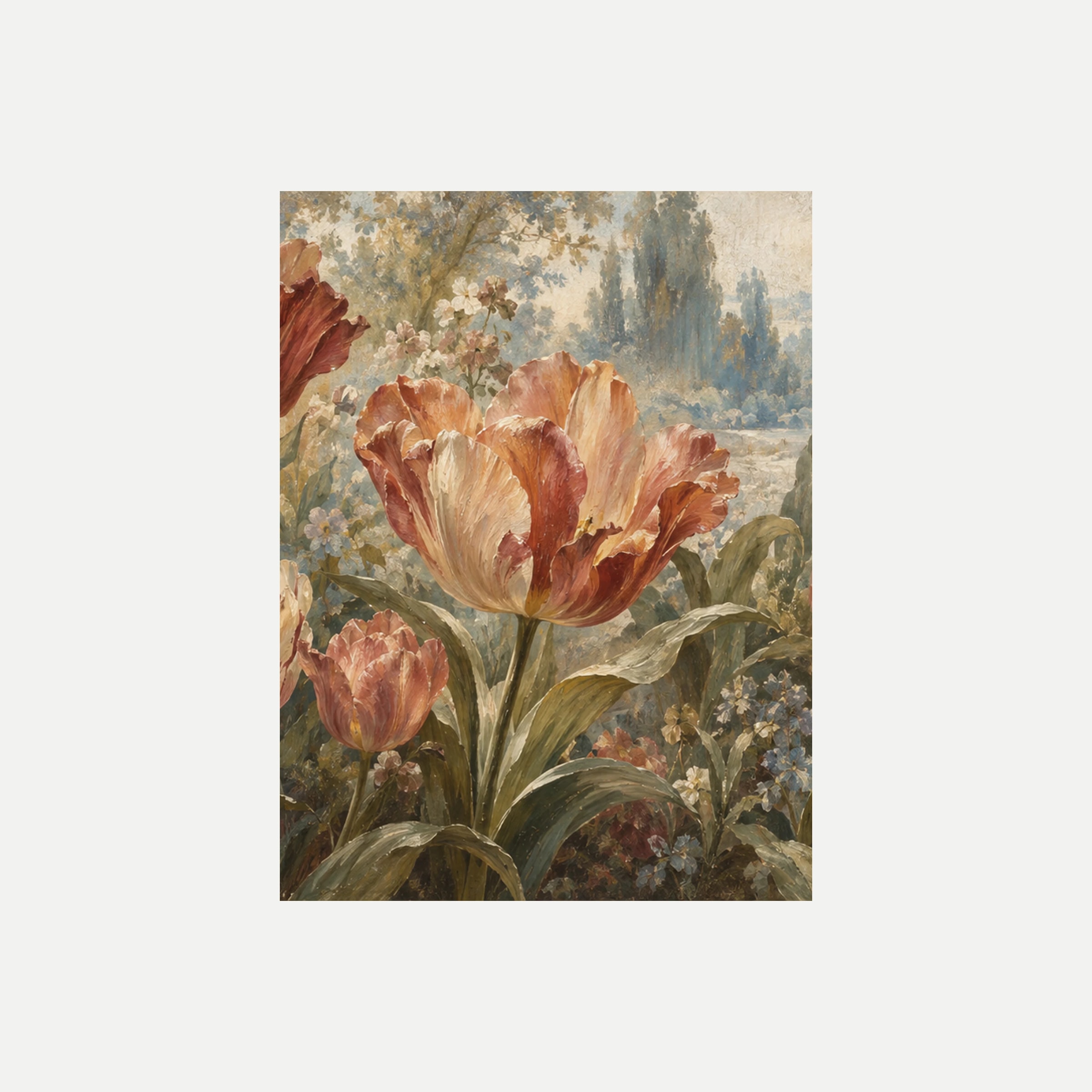 Jardín velado II: un tulipán abierto melocotón y rojizo de bordes crema entre hojas y pequeños capullos, sin marco, sobre fondo neutro.